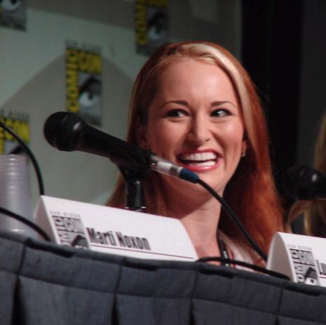 Allison DuBois Foto