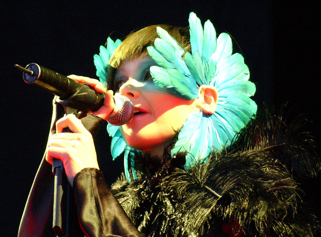 Björk Foto