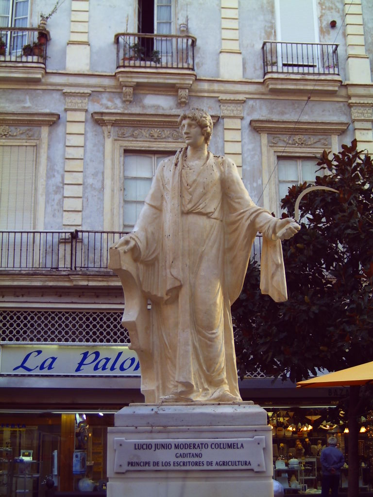 Columela Foto