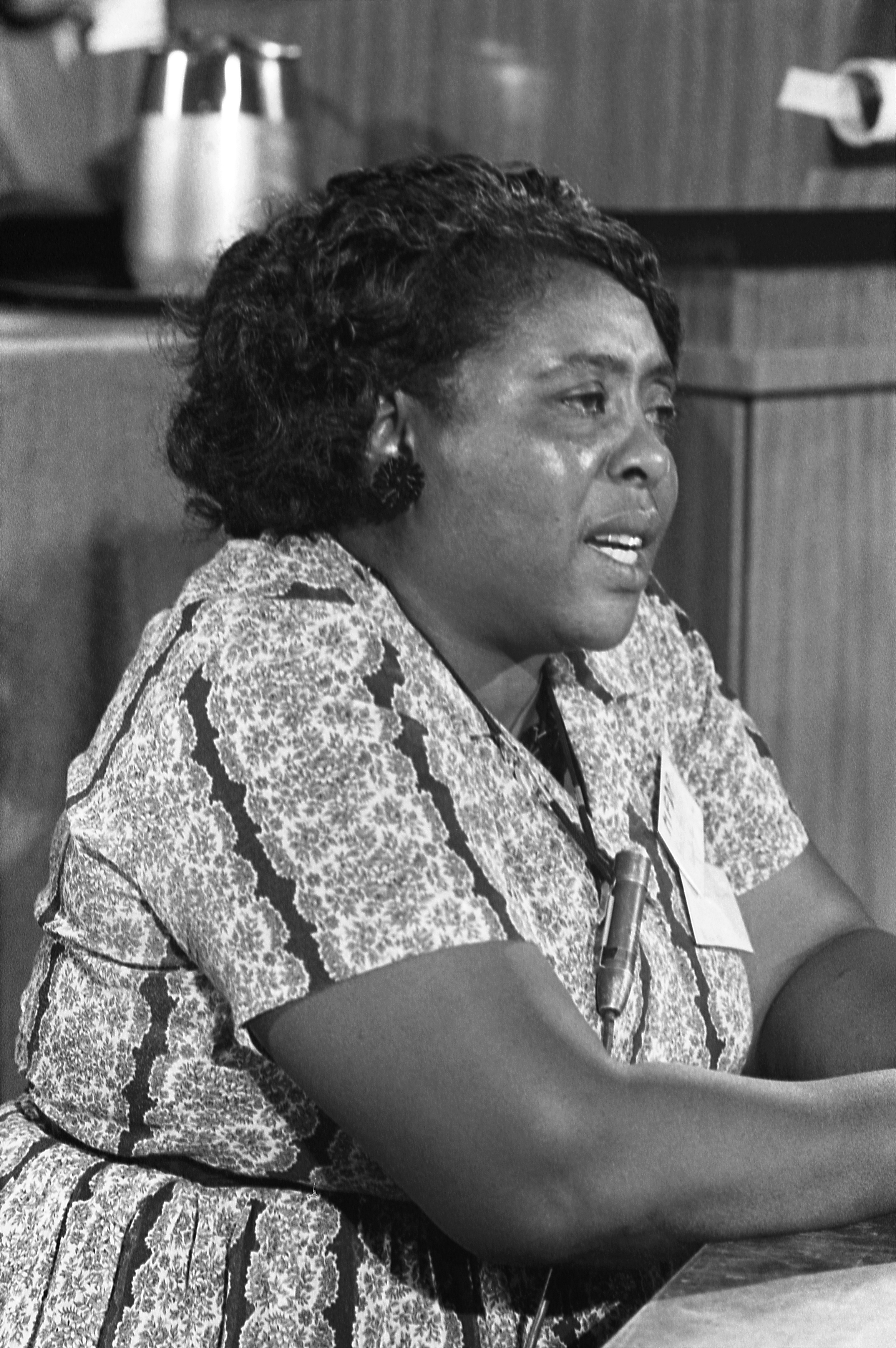 Fannie Lou Hamer Foto