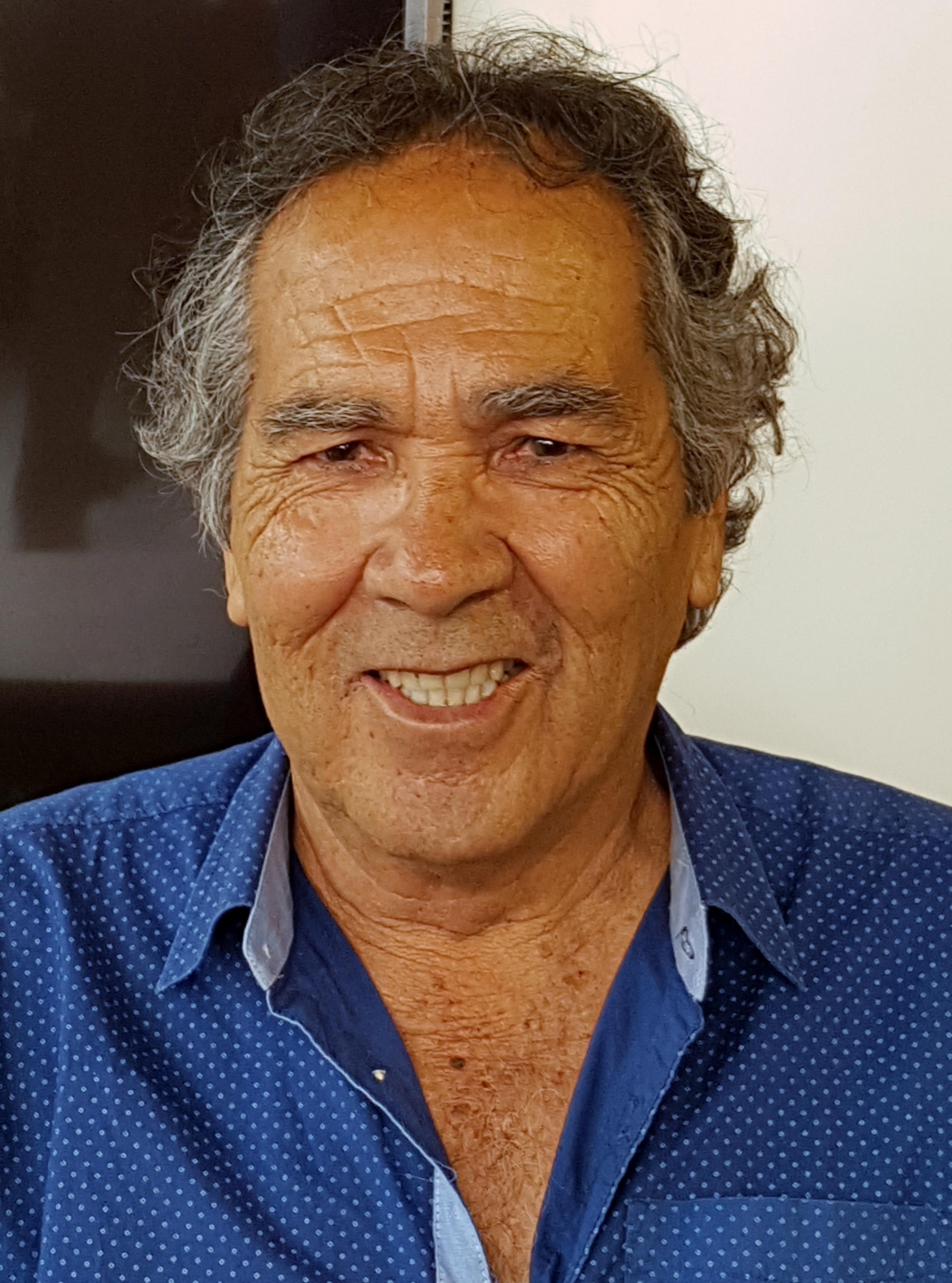 Hernán Rivera Letelier Foto