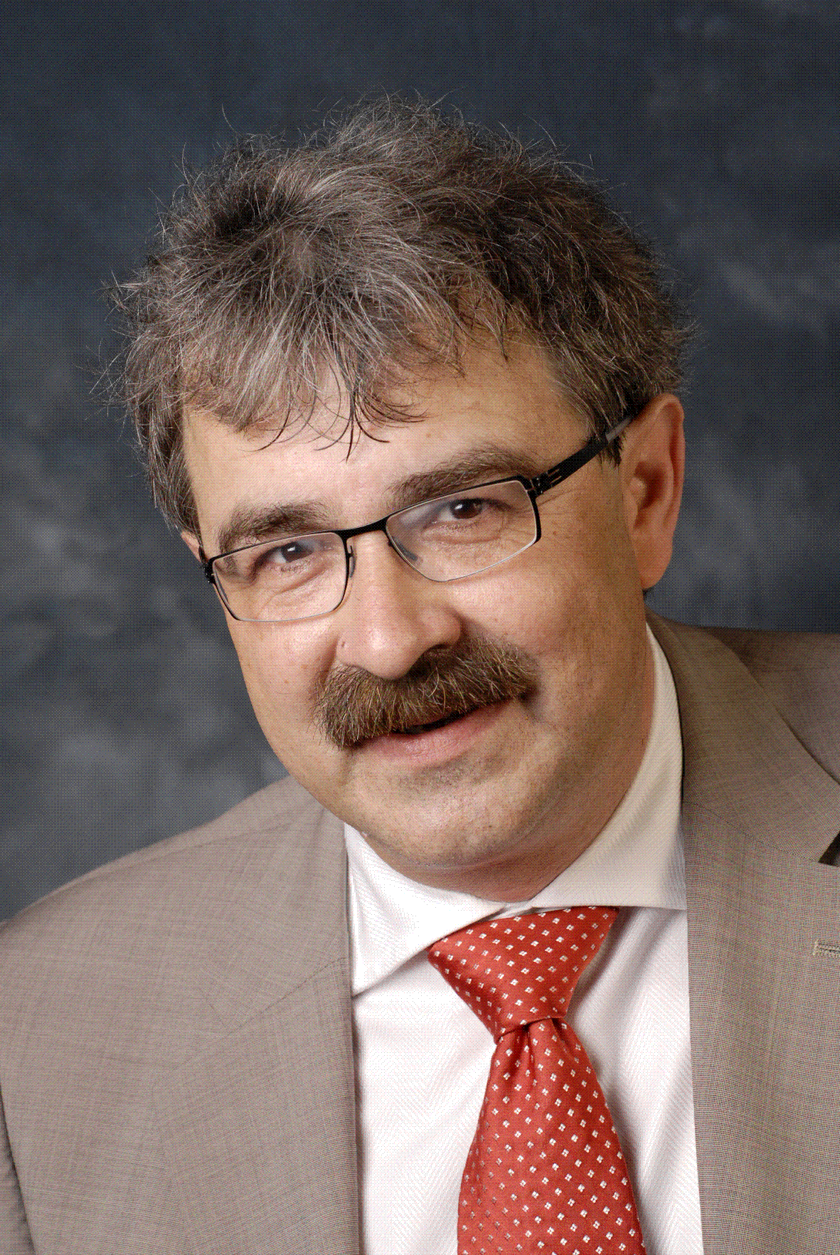 Jan Zaanen Foto