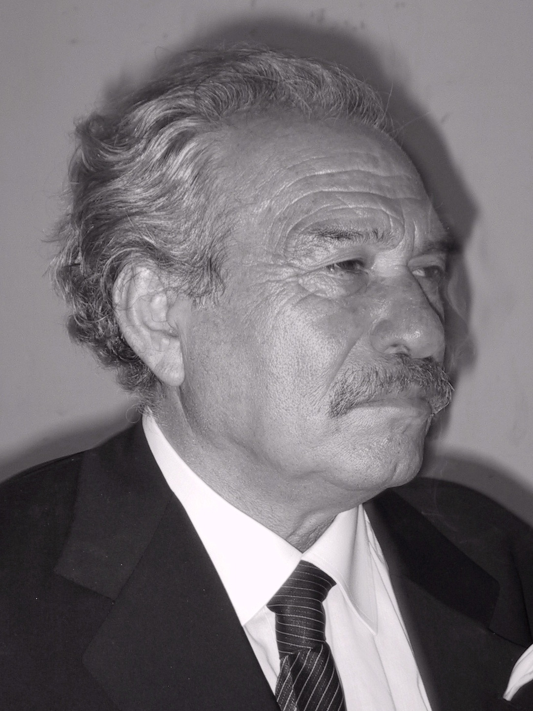 Jannis Kounellis Foto