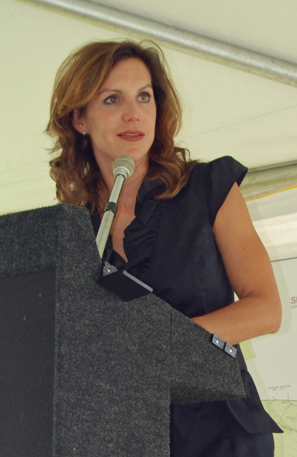 Jill Holtzman Vogel Foto