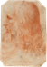 Leonardo Da Vinci Foto