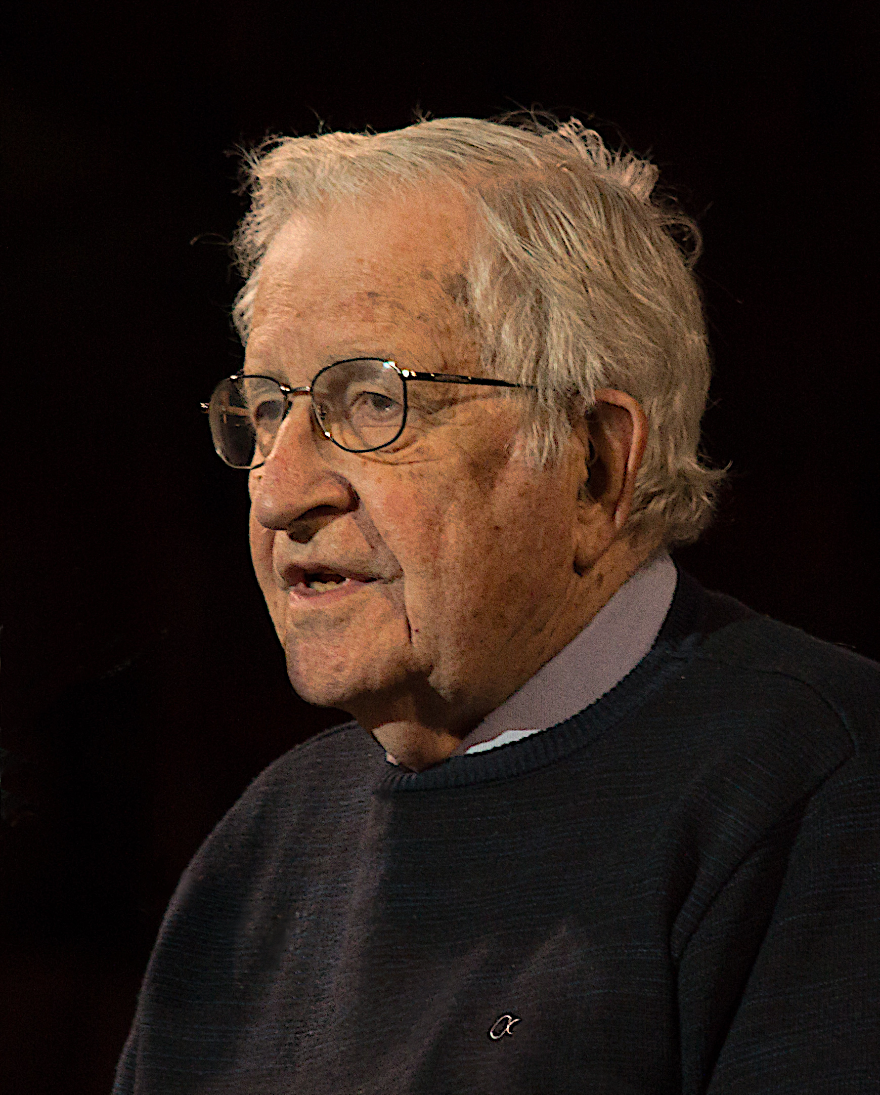 Noam Chomsky Foto