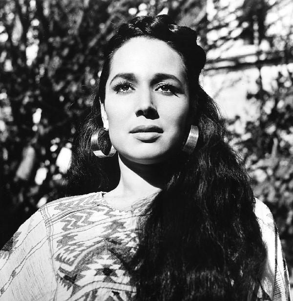 Flor Silvestre Foto