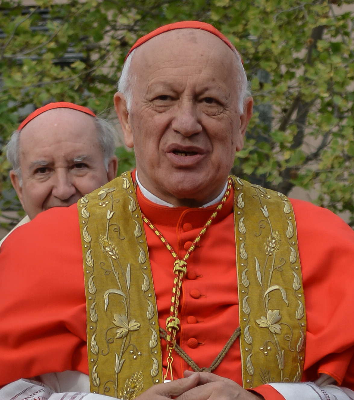 Ricardo Ezzati Foto