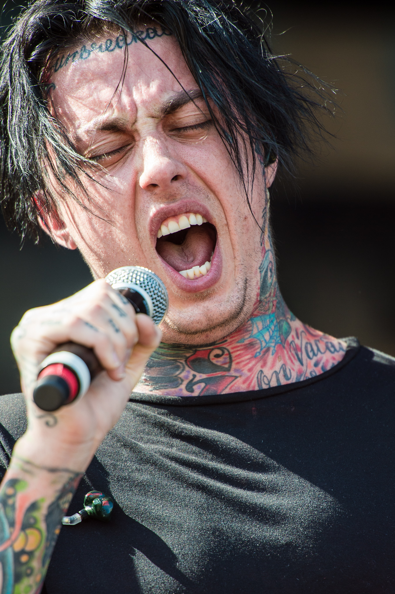 Ronnie Radke Foto
