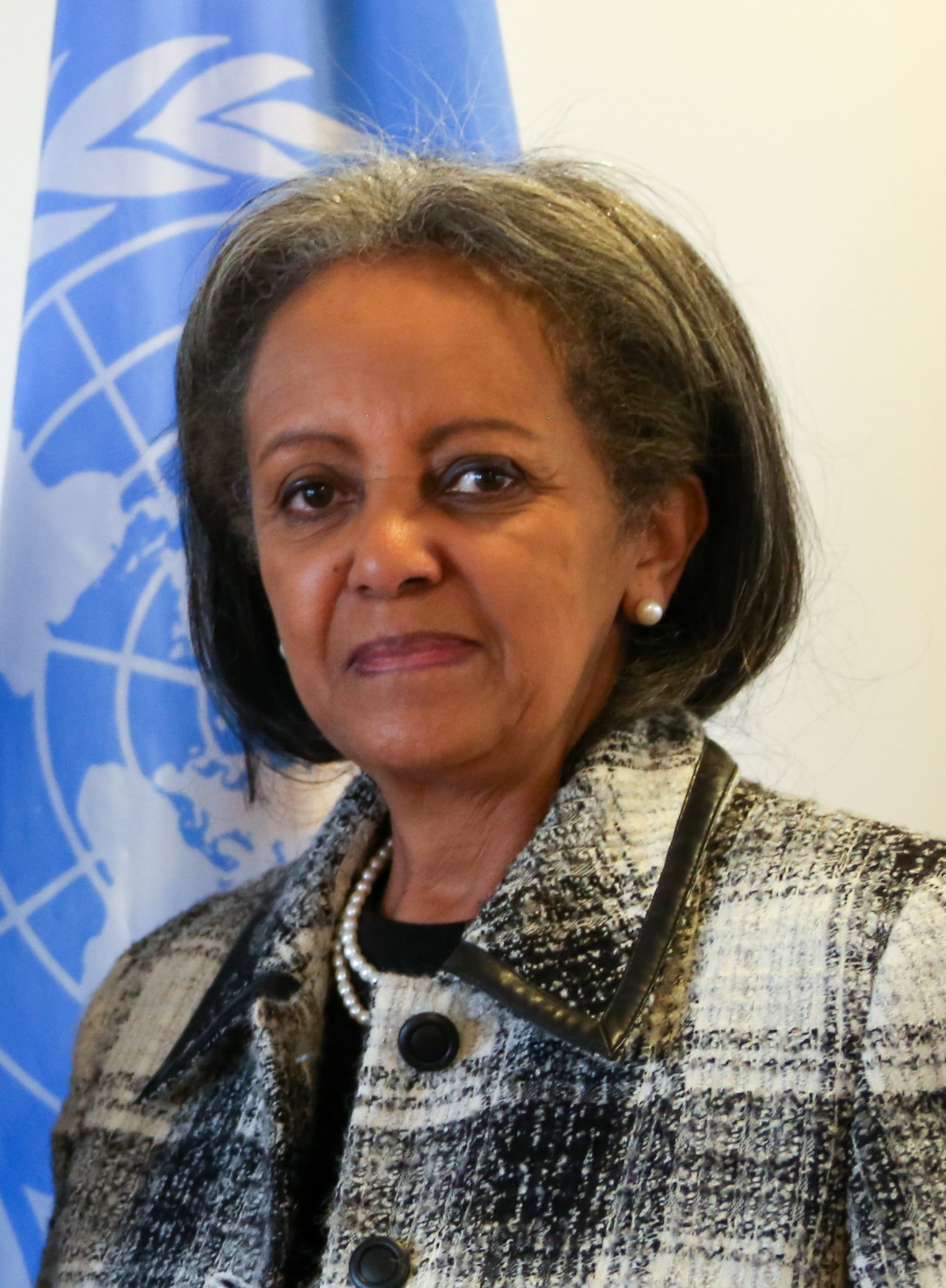 Sahle-Work Zewde Foto