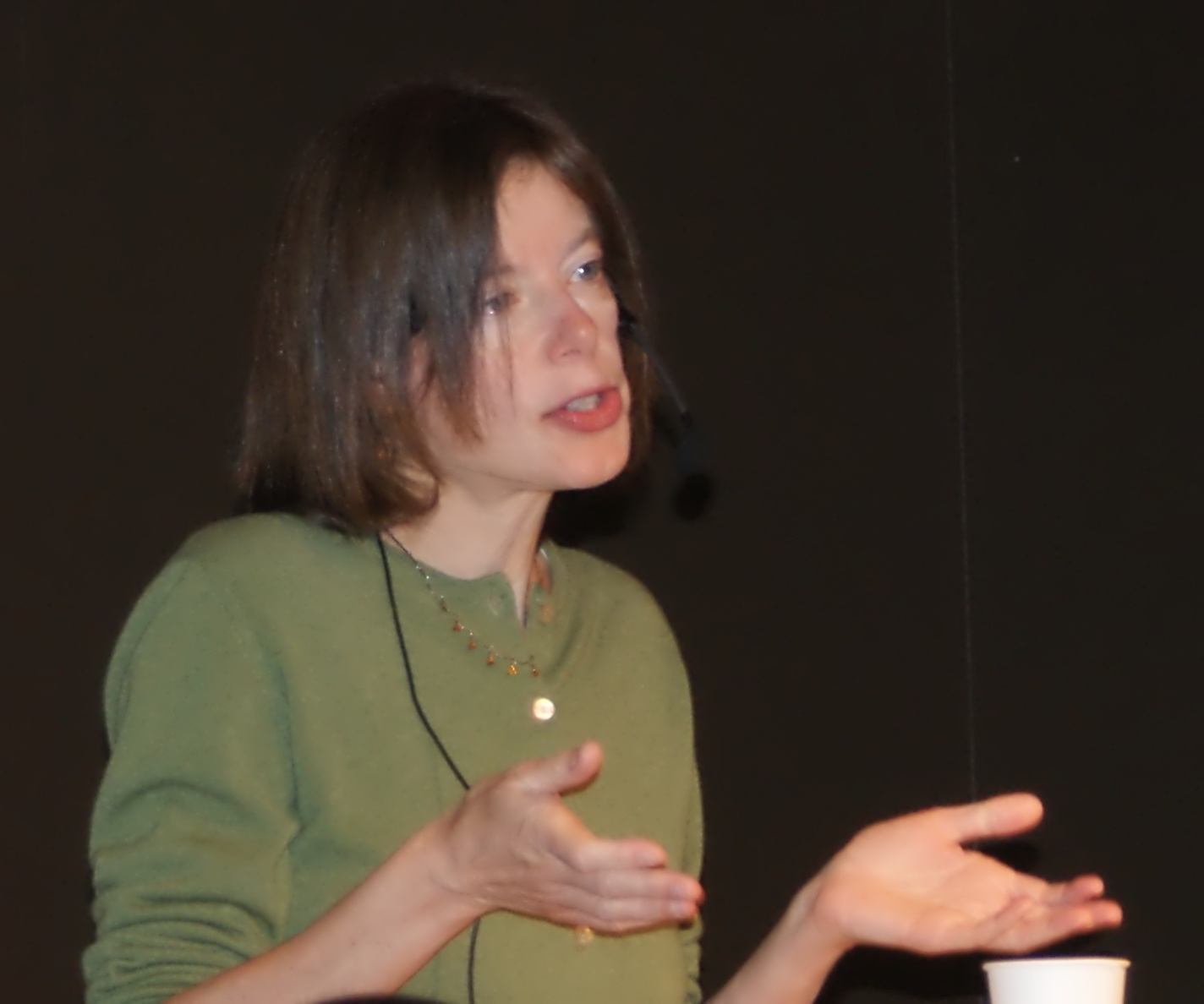 Susan Faludi Foto