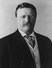 Theodore Roosevelt Foto