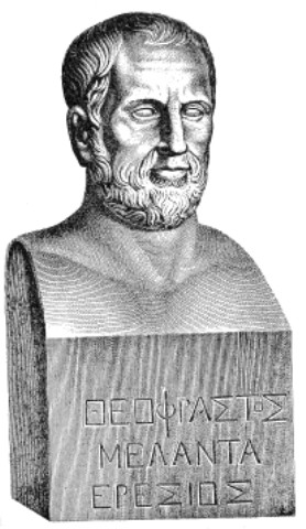Teofrasto Foto