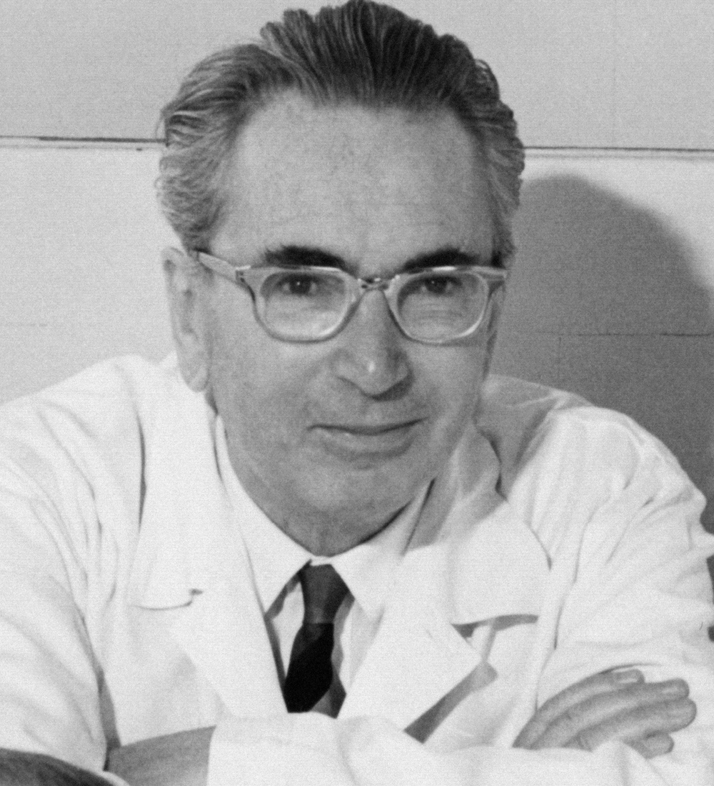 Viktor Frankl Foto