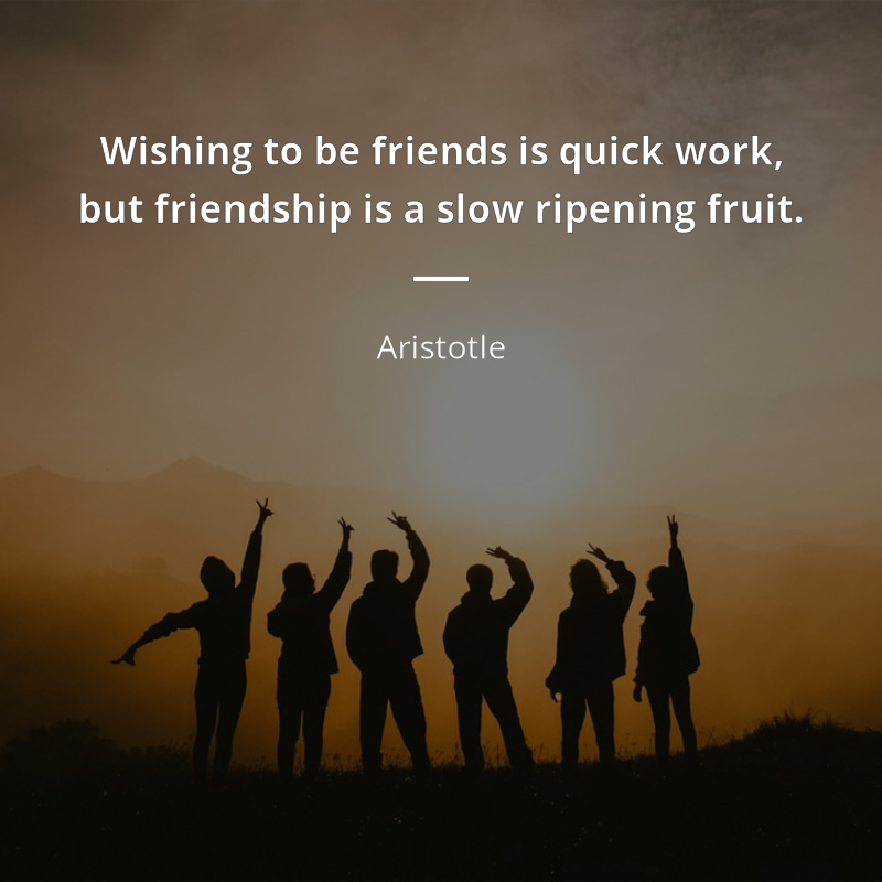 Aristotle frase: “Wishing to be friends is quick work, but friendship is a slow ripening fruit.”