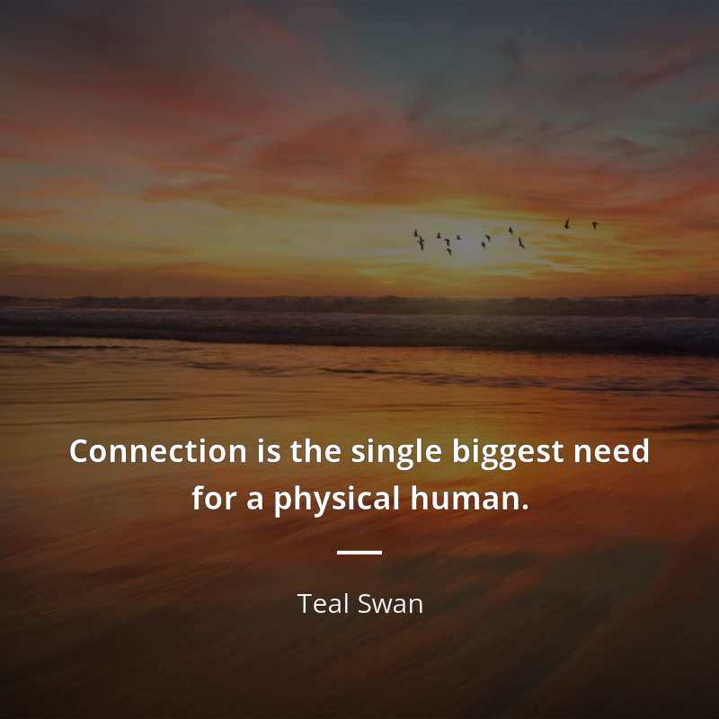 Teal Swan frase: “Connection is the single biggest need for a physical human.”