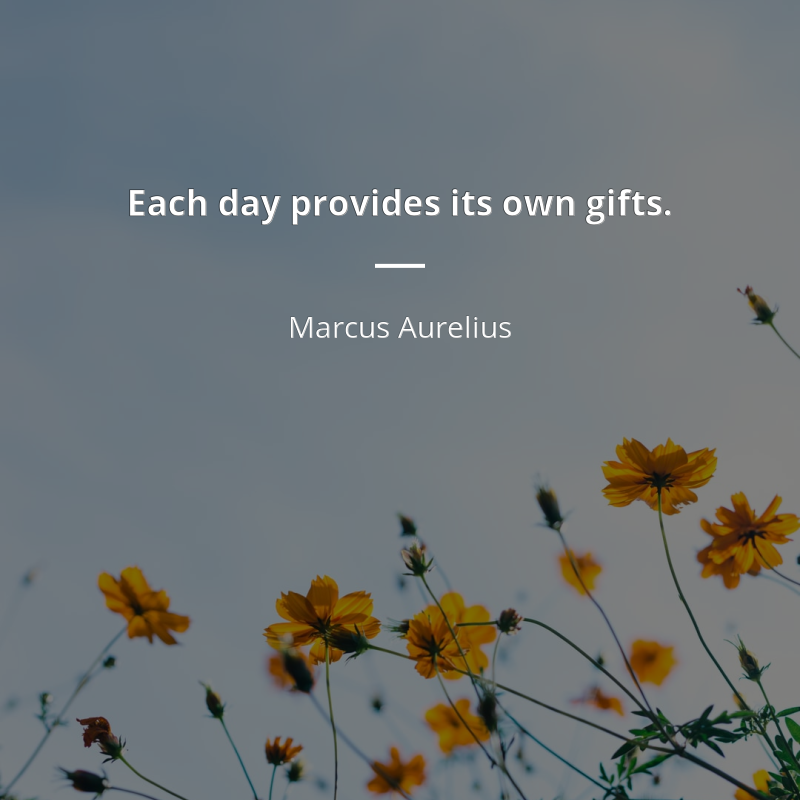 Marcus Aurelius frase: “Each day provides its own gifts.”