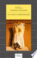 Lento aprendizaje